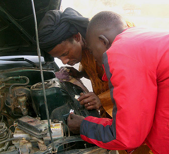 Zukunft gesichert! 362751