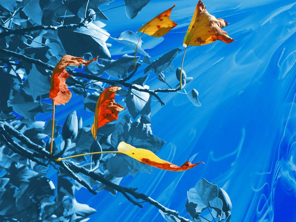 935.DAX Tipp-Spiel *Do* 11.12.08, 17.45 Uhr 204609