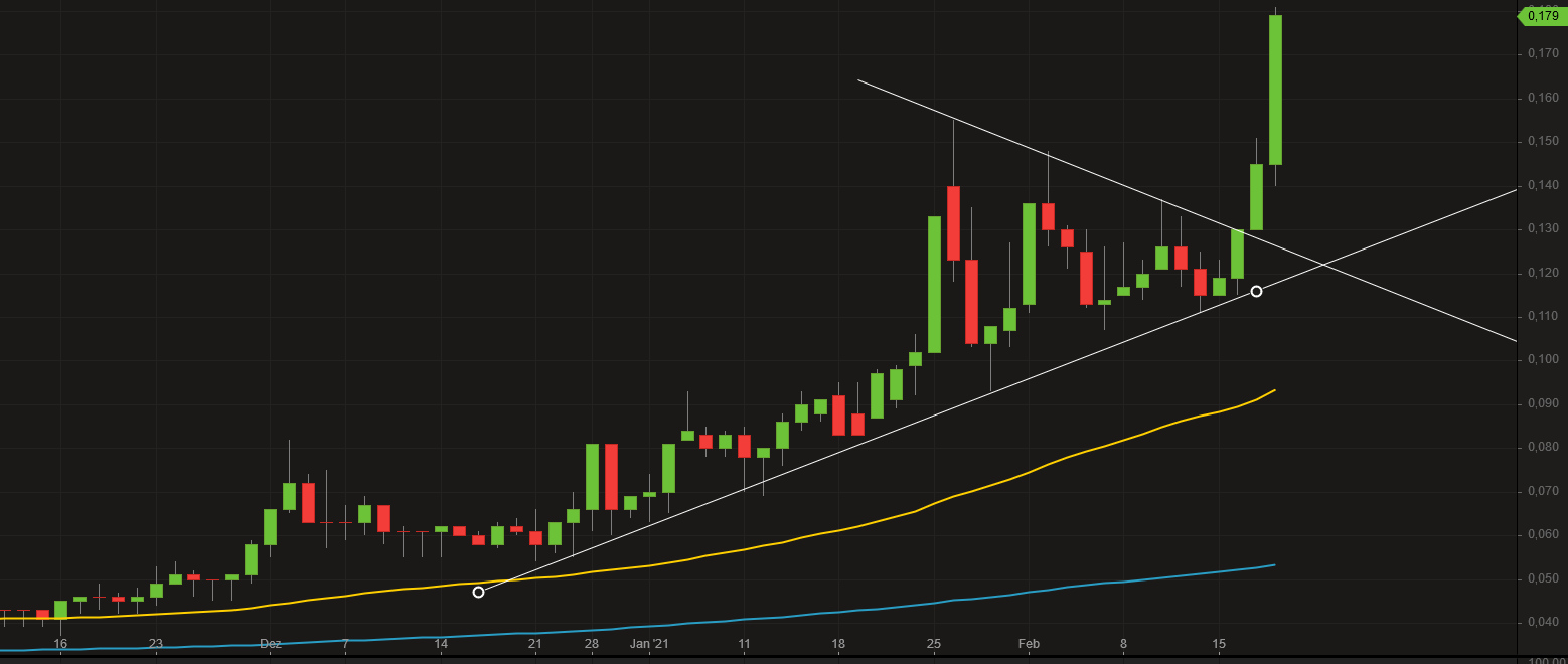 Börse ein Haifischbecken: Trade was du siehst 1234525