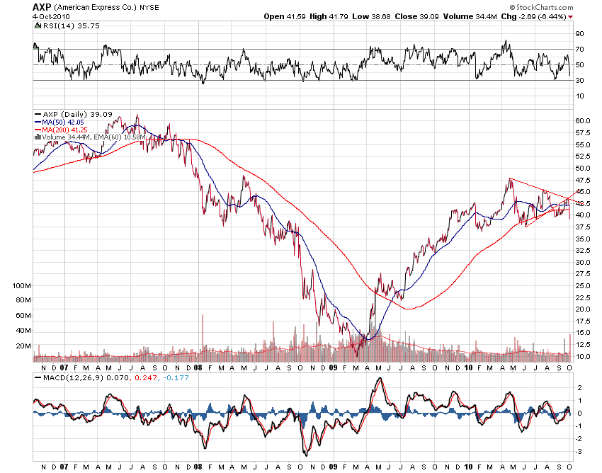 Der USA Bären-Thread 349248