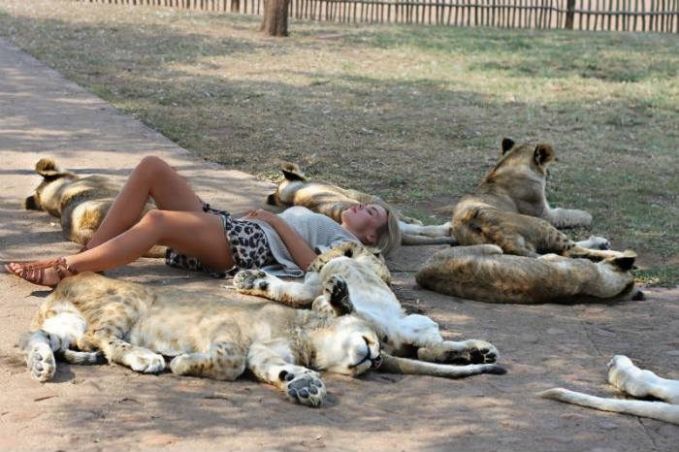 Dax 6000 keine Utopie mehr.... 1088696