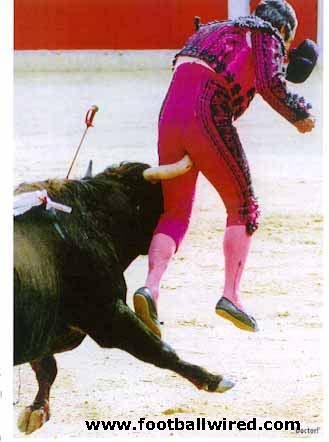 Die Bullen scharren gar nicht mit den Hufen, 184550