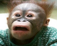 US$2,100,000,000 99305