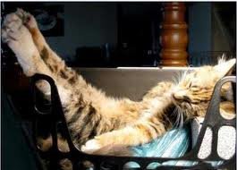 ## N E W S ## 585105