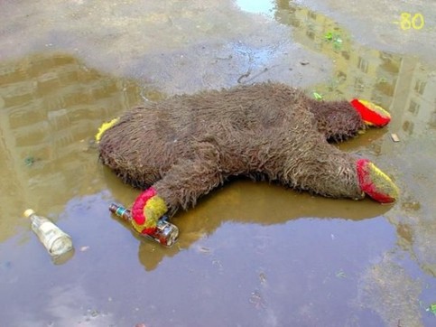 Der USA Bären-Thread 975214