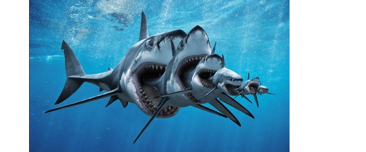 Meine Wirecard-Gewinne - Thread! 1185735