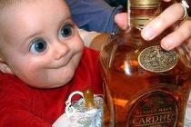 Q-Cells , der Solarzellenriese 214517