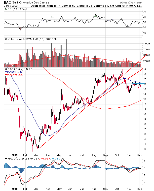 Der USA Bären-Thread 280660