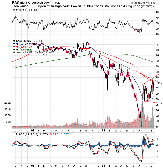 Der USA Bären-Thread 186183