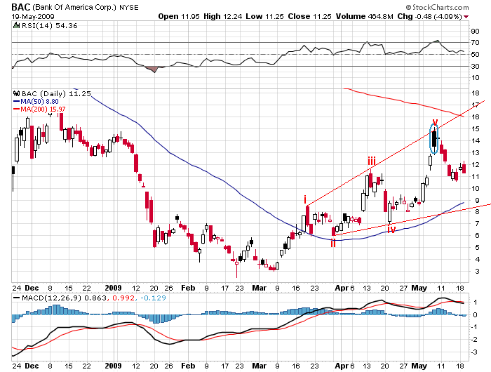 Der USA Bären-Thread 233952