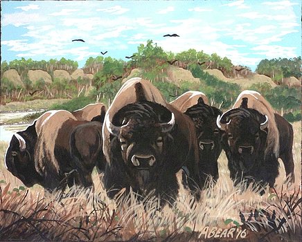 Der USA Bären-Thread 1027965