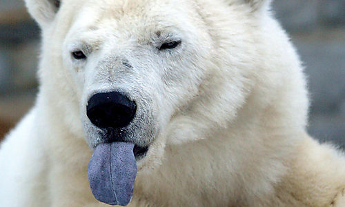 Die DAX Herbstdepression 2009 271249