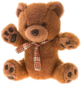 Der USA Bären-Thread 141350