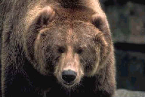 858.DAX Tipp-Spiel, *Dienstag*26.08.08, 17.45 Uhr 182255