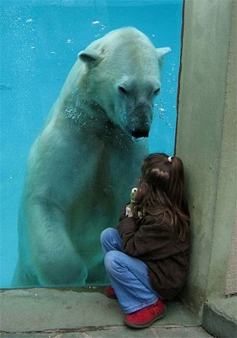 Quo Vadis Dax 2011 - All Time High? 373121