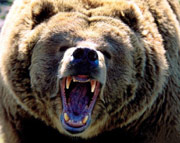 Quo Vadis Dax 2011 - All Time High? 426684