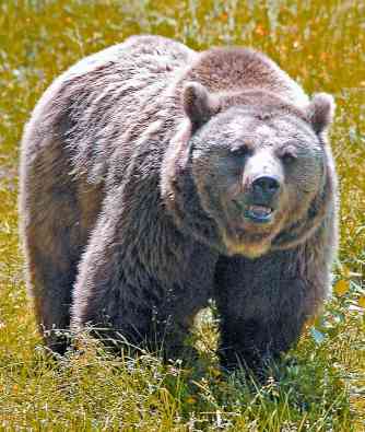 Quo Vadis Dax 2012 - Krise ohne Ende? 476484