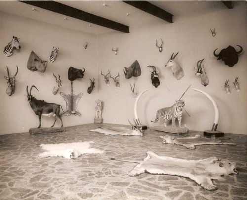 Quo Vadis Dax 2012 - Krise ohne Ende? 476777