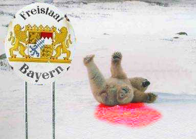 Der Doomsday Bären-Thread 79346