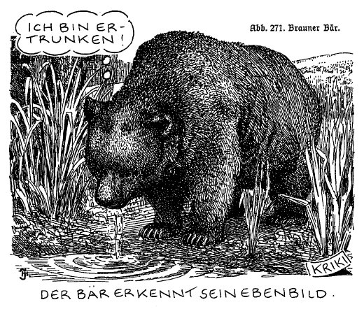 Der USA Bären-Thread 424330