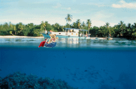 QV ultimate 2012 560708