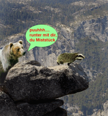 QV ultimate (unlimited) 660710