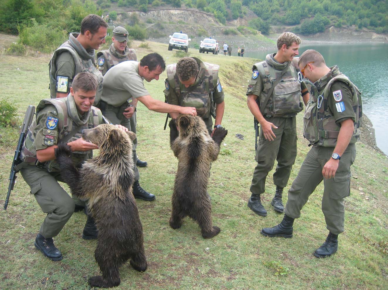 Bärenland ist abgebrannt - Der Dax Bullen Thread 247830