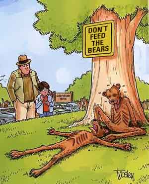 Der USA Bären-Thread 615677