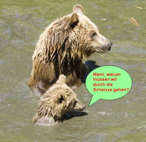 QV ultimate 2012 561029