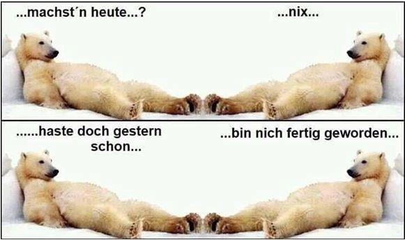 QV ultimate 2012 564778