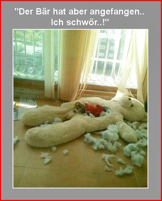 QV ultimate 2012 564773