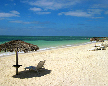 Die Bullen scharren gar nicht mit den Hufen, 188411