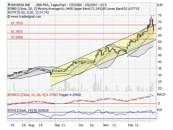 Bavaria Industriekapital 75311