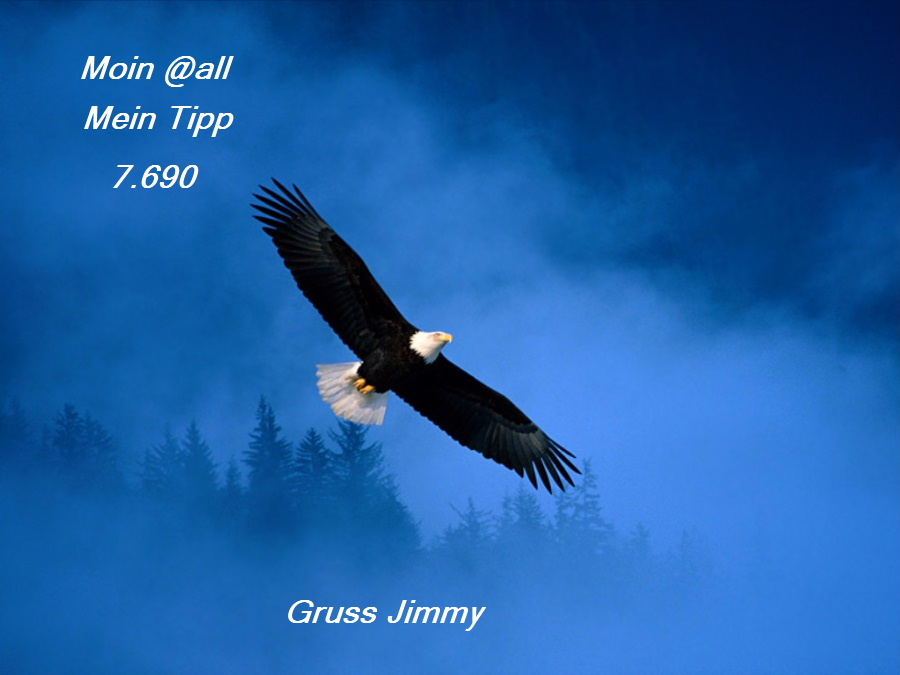 663.DAX Tipp-Spiel, Donnerstag, 15.11.07, 17.45 Uh 131486