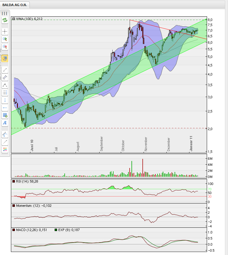 Balda schnelle 100 Prozent 372942