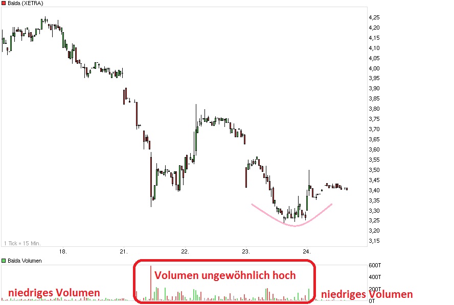 Balda schnelle 100 Prozent 460616