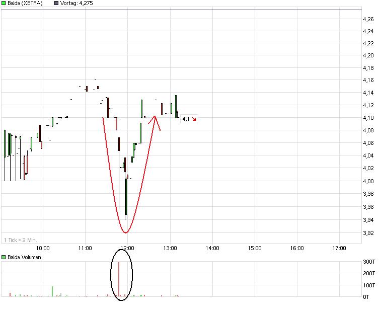 Balda schnelle 100 Prozent 456100