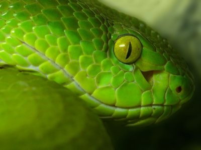 1059.DAX-Tipp-Spiel, Montag 15.06.2009 238685