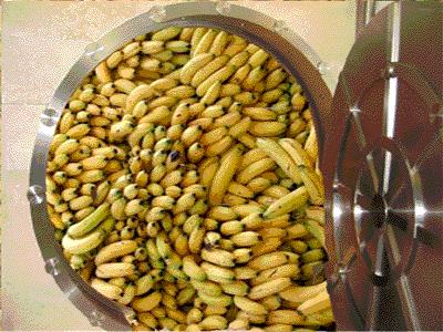 Der USA Bären-Thread 256887