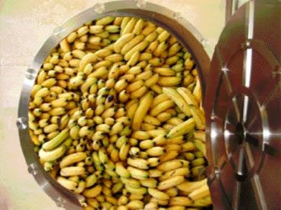 Zeitreise in das Jahr 2022 381980