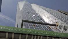 Der USA Bären-Thread 232929