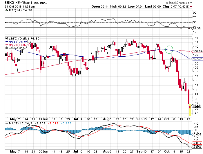 Der USA Bären-Thread 1079577
