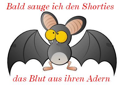 PAION Eine Fledermaus lernt wieder fliegen 313580