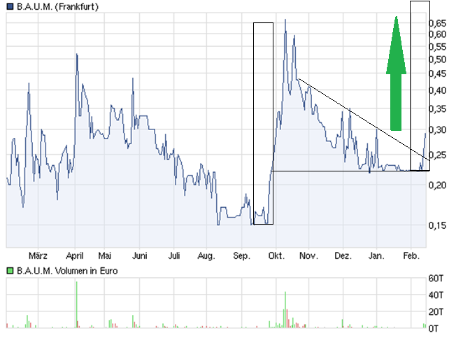 B.A.U.M. - hier wird etwas kommen 485592