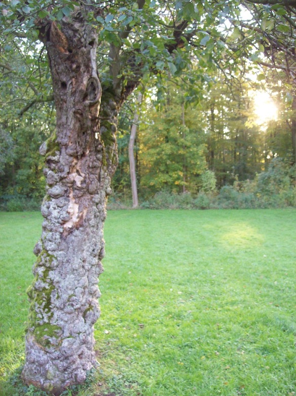 Bitcoins der nächste Monsterhype steht bevor! 673982