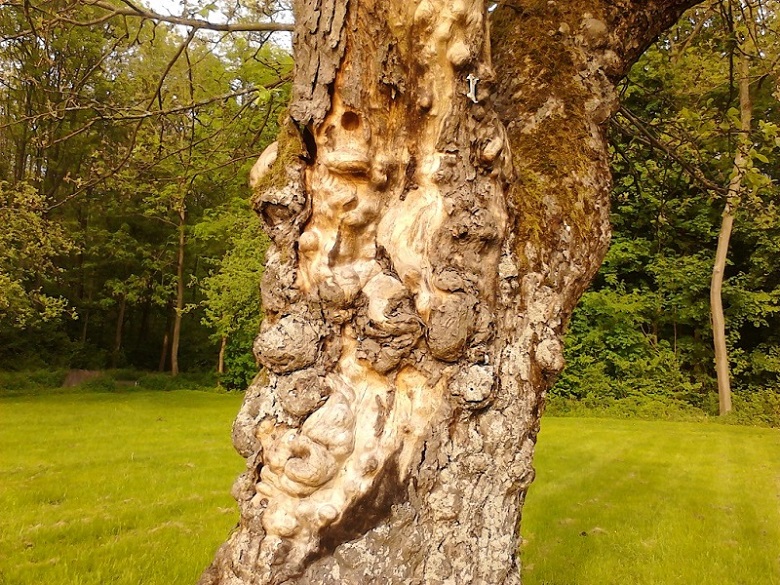 Bitcoins der nächste Monsterhype steht bevor! 673985