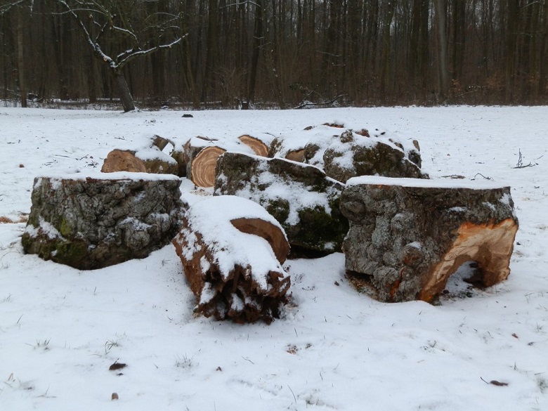 Bitcoins der nächste Monsterhype steht bevor! 673987