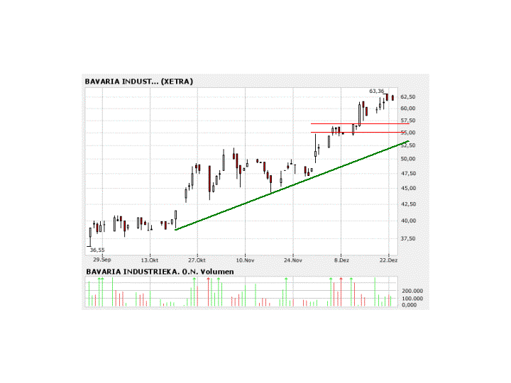 Bavaria Industriekapital 73392