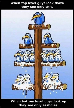 Injex AG - Wahrheit und Träumerei 498743