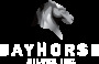 Bayhorse Silver Inc. Silberchance oder Blindflug 33743346